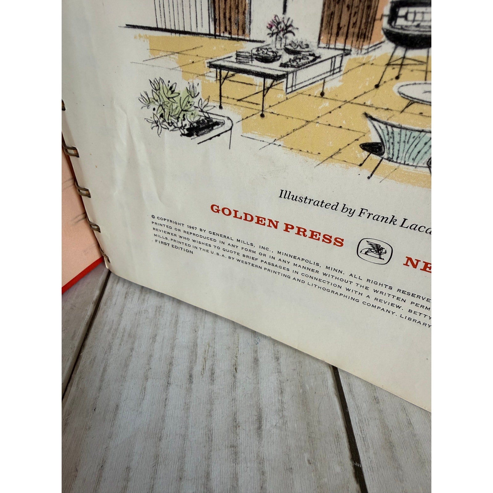 Betty Crockers Outdoor Cookbook: Barbeques