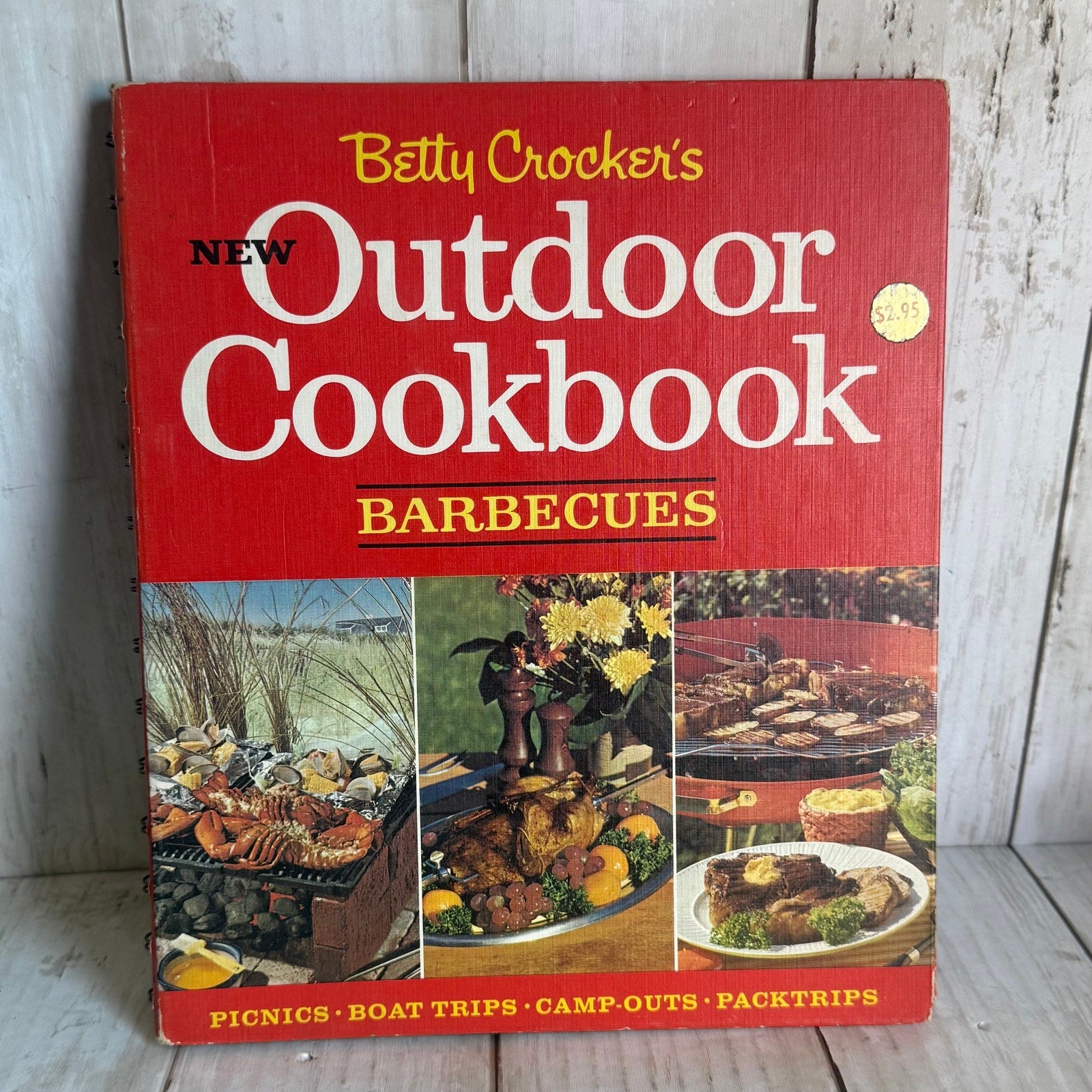 Betty Crockers Outdoor Cookbook: Barbeques