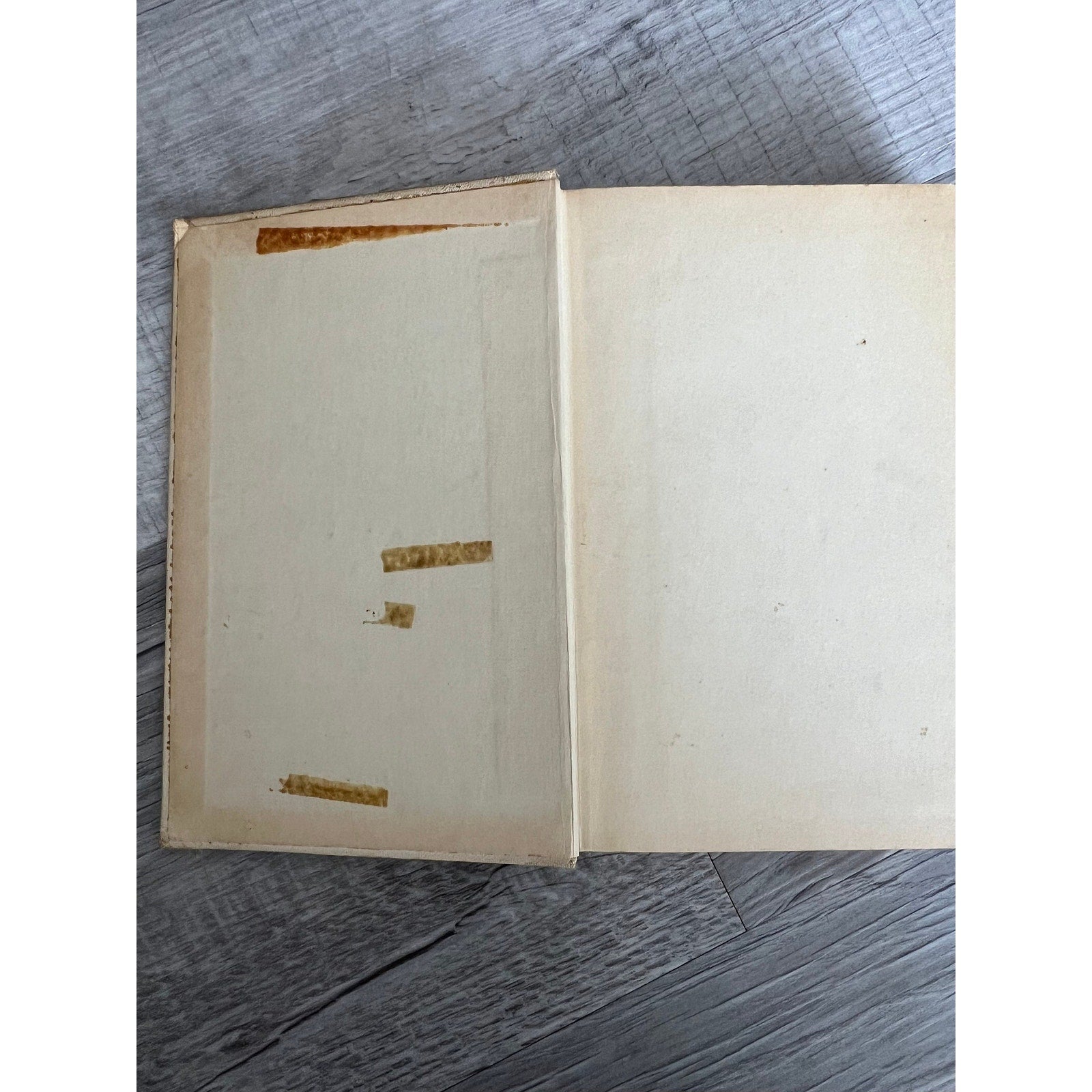 Good Meals and How to Prepare Them. Good Housekeeping Institute 4th Edition printed 1931