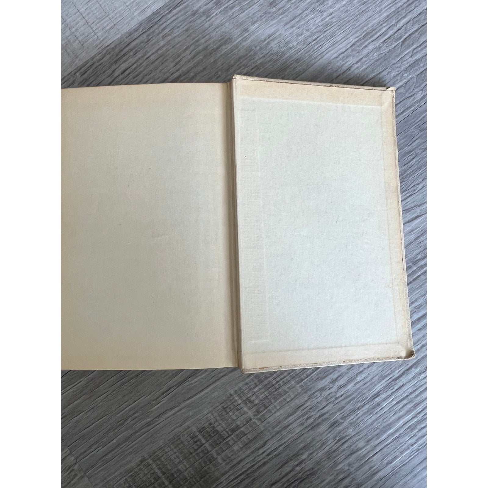 Good Meals and How to Prepare Them. Good Housekeeping Institute 4th Edition printed 1931
