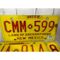 Lot of 4 New Mexico License Plates