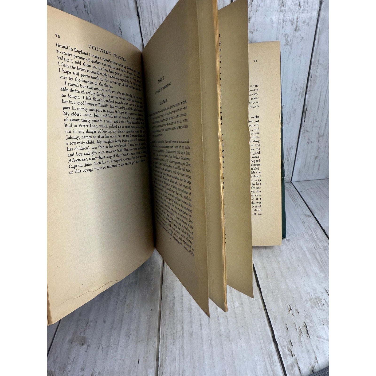 Gulliver's Travels by Jonathan Swift - Art-Type Edition (Hardcover)