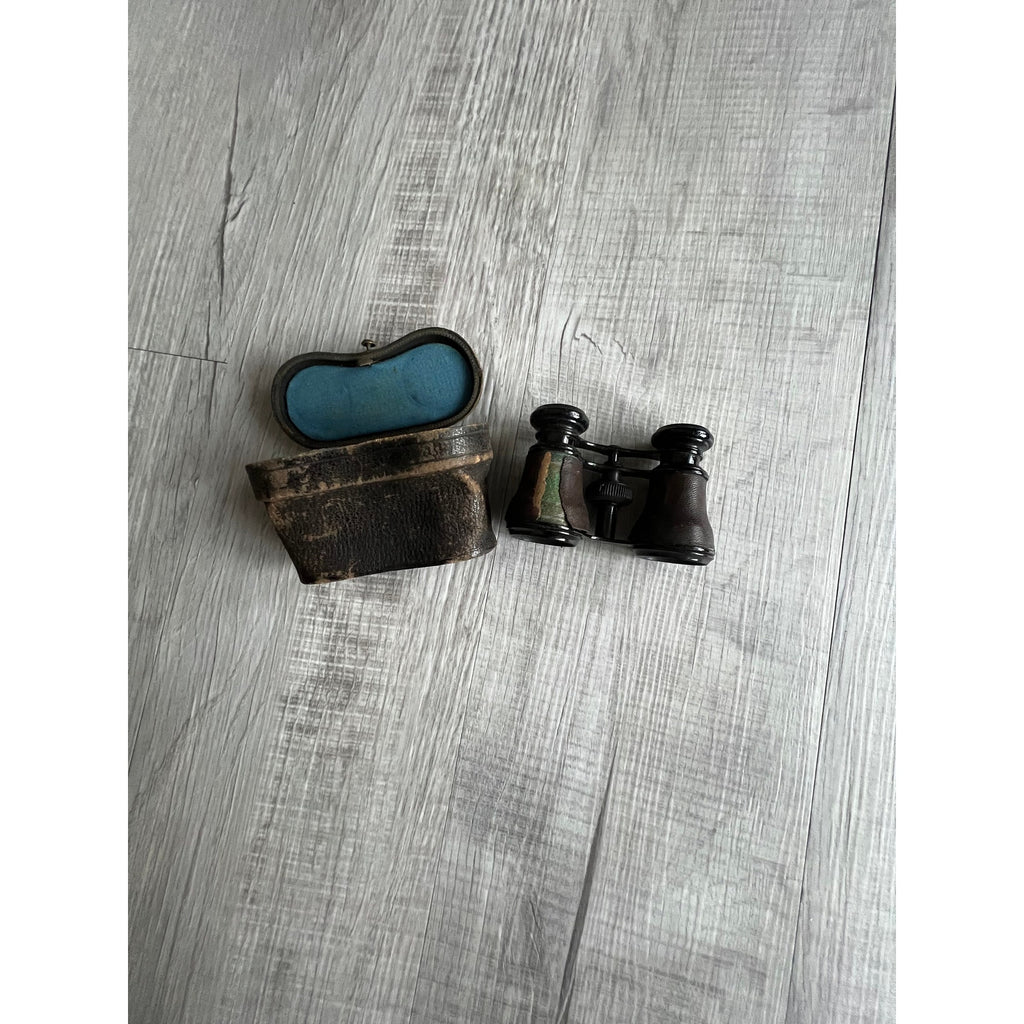 Antique Lemaitre Paris Opera Glasses and Case